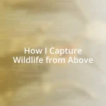 How I Capture Wildlife from Above