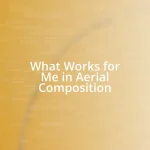 What Works for Me in Aerial Composition