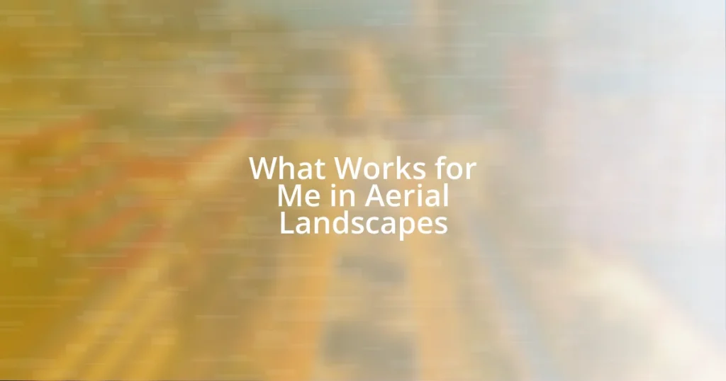 What Works for Me in Aerial Landscapes