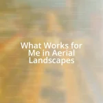 What Works for Me in Aerial Landscapes