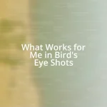 What Works for Me in Bird’s Eye Shots