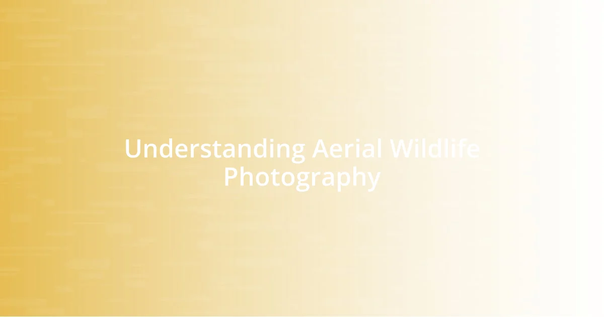 Understanding Aerial Wildlife Photography