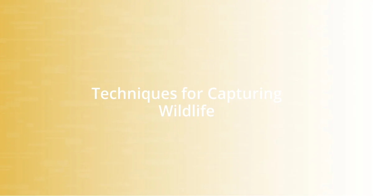 Techniques for Capturing Wildlife