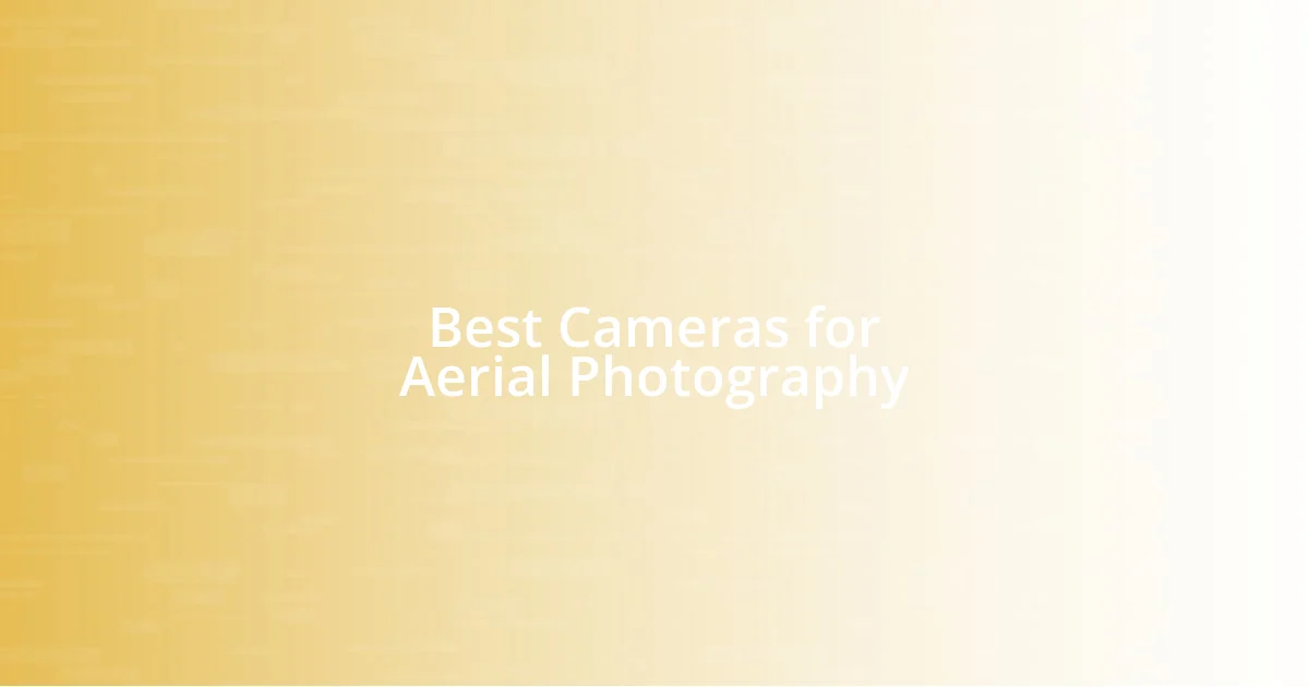 Best Cameras for Aerial Photography